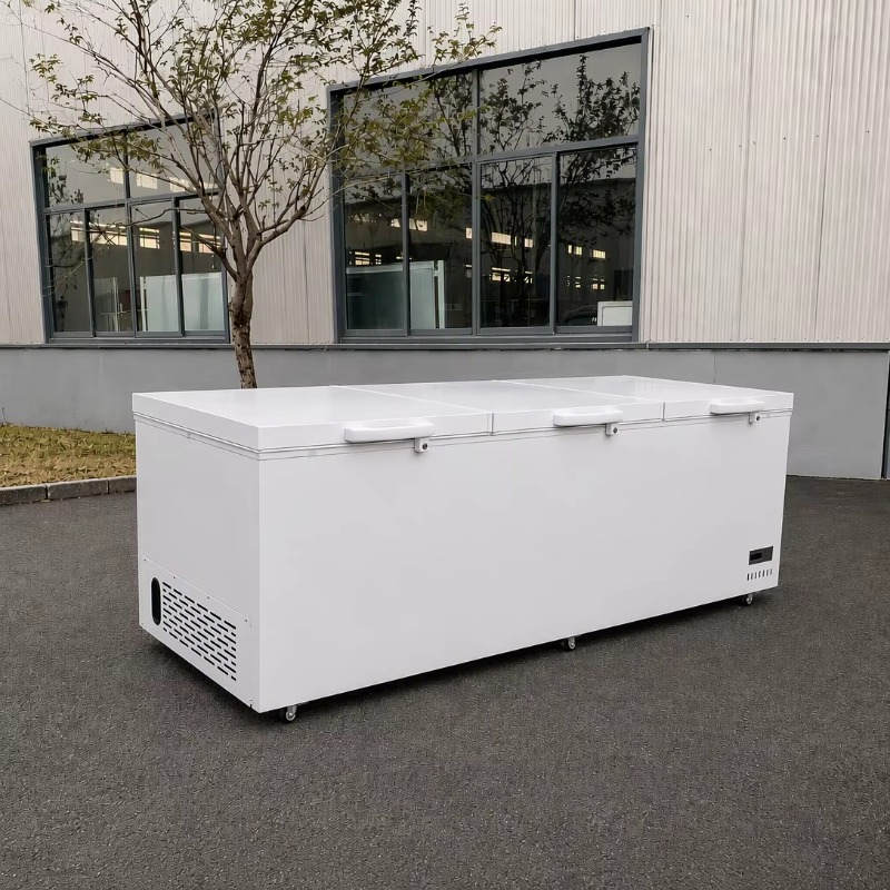 Stainless Steel Material Super - Commercial Chest Freezer ulasan dan harga