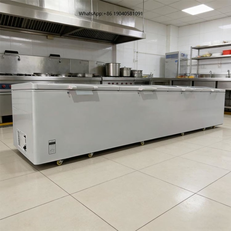 2688 Large Single-Temperature  - Commercial Chest Freezer ulasan dan harga