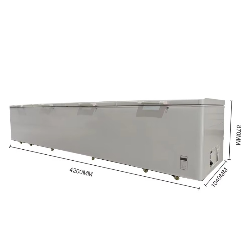 2688 Large Single-Temperature  - Commercial Chest Freezer ulasan dan harga