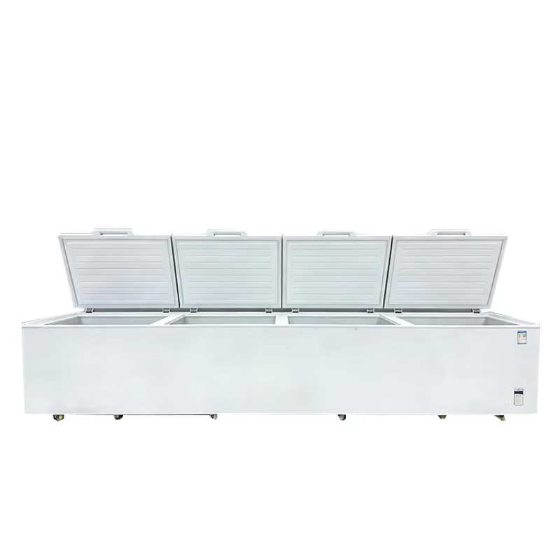 2688 Large Single-Temperature  - Commercial Chest Freezer ulasan dan harga