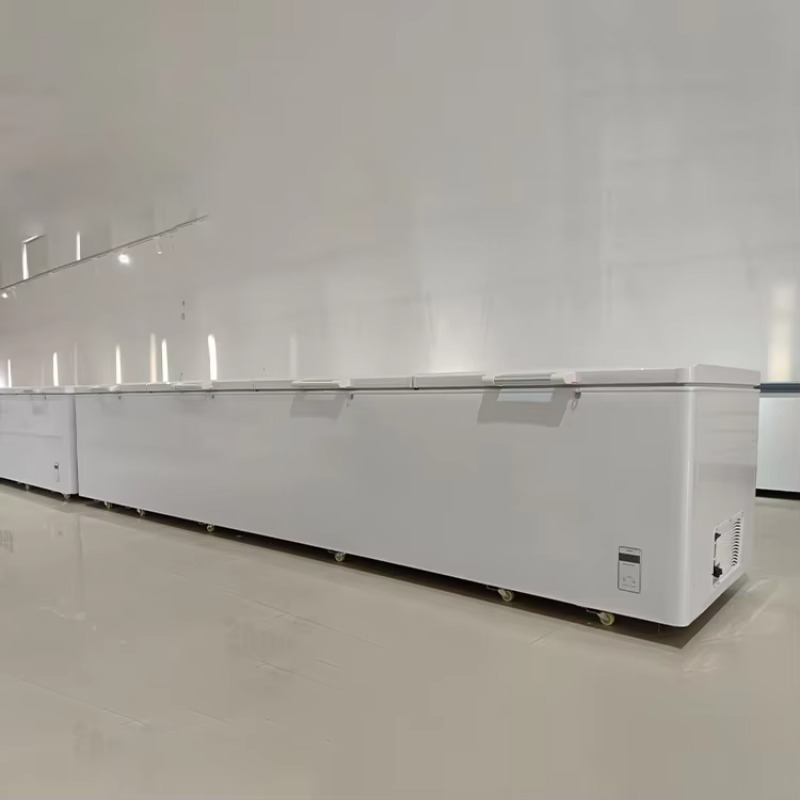 2688 Large Single-Temperature  - Commercial Chest Freezer ulasan dan harga